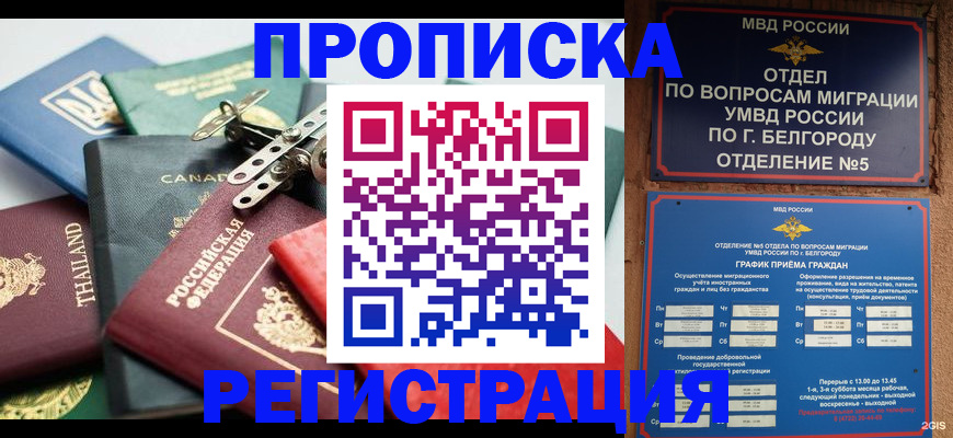 временная регистрация недорого в Колпашево